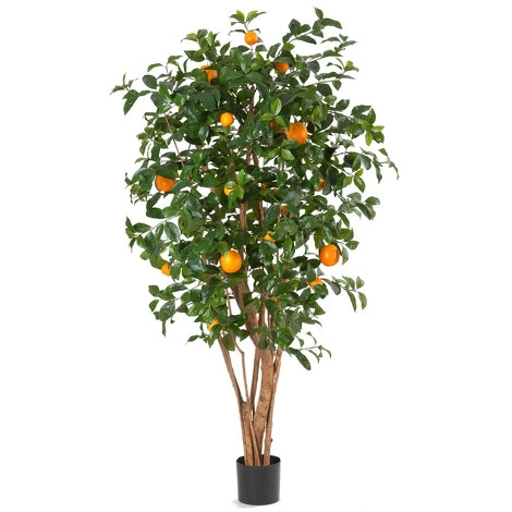Дерево Апельсиновое дерево с плодами от TREEZ, TZ.PL.TR.66