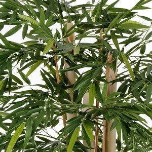 Дерево Бамбук Новый гиганский