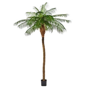Дерево Финиковая пальма де Люкс
