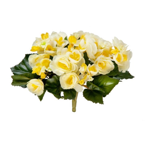 Растение Бегония куст лимонно-жёлтый от TREEZ, TZ.PL.TR.513