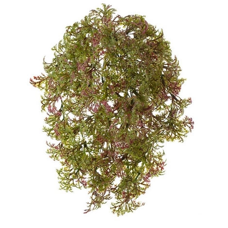 Растение Ватер-грасс (Рясковый мох) куст зелёный с бордо от TREEZ, TZ.PL.TR.518