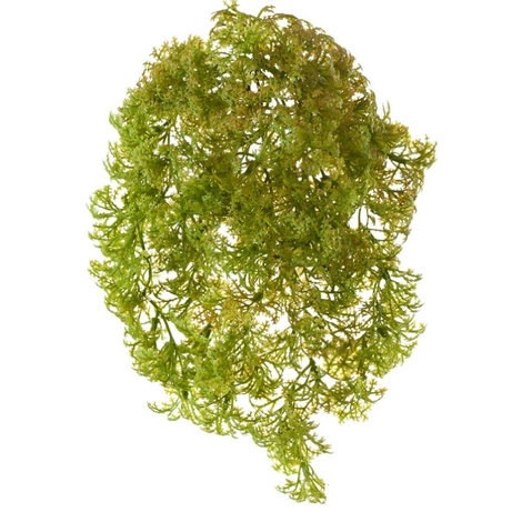 Растение Ватер-грасс (Рясковый мох) куст св.зелёный со св.коричневым от TREEZ, TZ.PL.TR.519