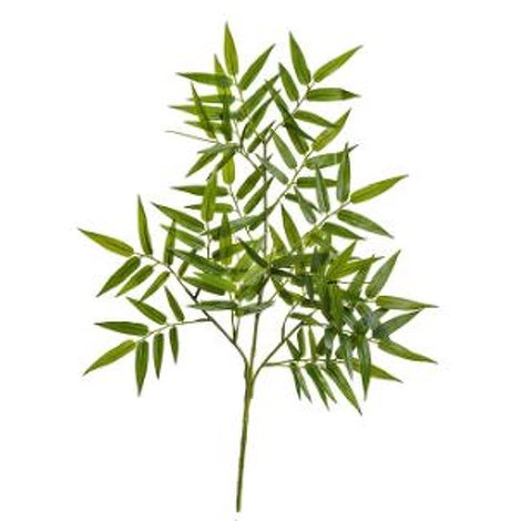 Растение "Ветка Бамбука ориенталь" от TREEZ, TZ.PL.TR.523
