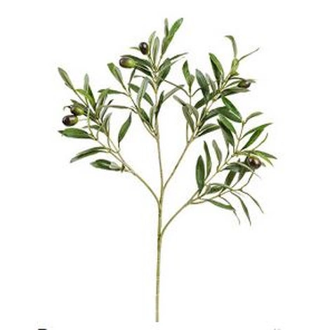 Ветка оливы натуральной с плодами от TREEZ, TZ.PL.TR.530