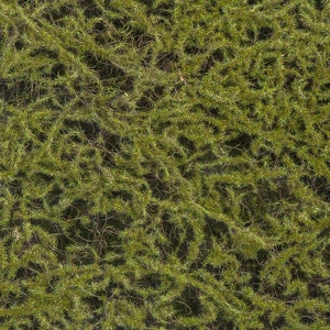 Мох Сфагнум Fuscum оливково-зелёный (полотно среднее)