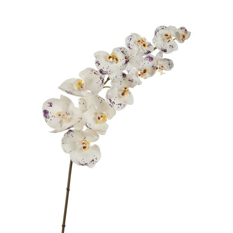 Орхидея Фаленопсис Sensitive Botanic цвет естественный белый с фиолет.крапинами от TREEZ, TZ.PL.TR.1396