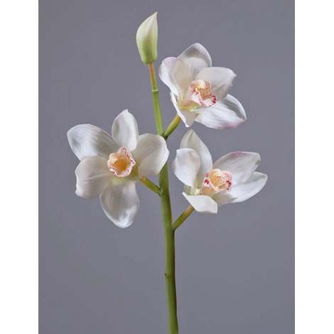 Орхидея Цимбидиум ветвь белая малая от TREEZ, TZ.PL.TR.1552