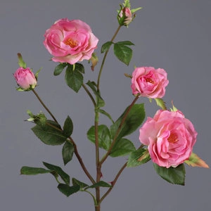 Роза Вайлд ветвь розовая