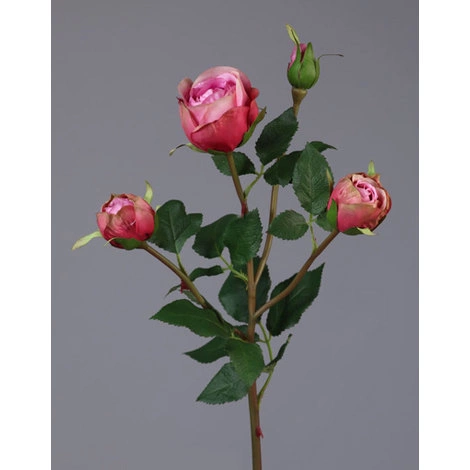 Роза Пале-Рояль ветвь малиново-розовая от TREEZ, TZ.PL.TR.1619