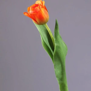 Тюльпан Даймонд оранжевый