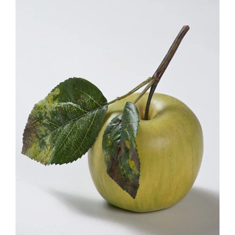Яблоко нежно-зелёное на веточке от TREEZ, TZ.PL.TR.1689