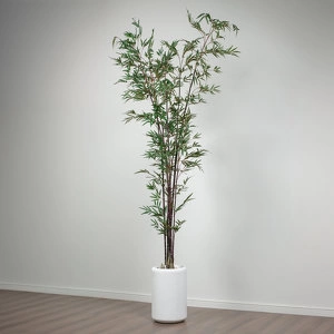 Бамбук (Листоколосник бамбуковый) 240см - Темно-зеленый