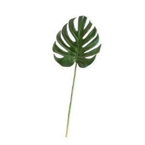 Декоративный элемент Monstera