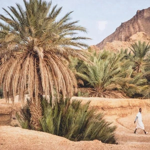 Картина Marta Rossignol - Moroccan Oasis