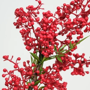 Растение Илекс ветка малая красная
